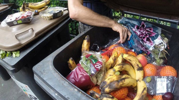 Ежегодно в мире выбрасывают 1,3 млрд тонн продуктов.