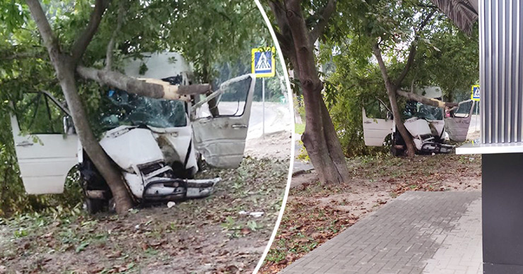 В Кишиневе микроавтобус врезался в дерево: водитель доставлен в больницу. Коллаж Point.md.