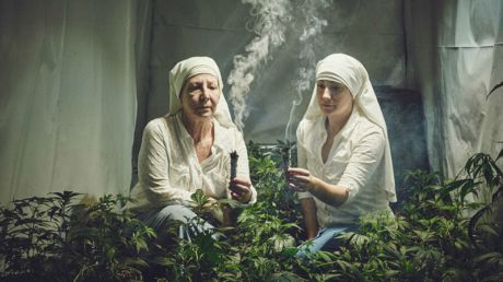 Două colugăriţe din SUA se ocupă de creşterea marijuanei. Foto: dailymail.co.uk