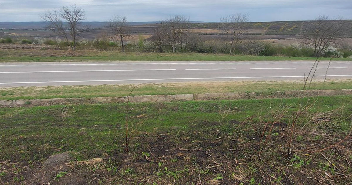 Circa 125 de hectare de terenuri agricole din Stăuceni vor deveni parc de afaceri.