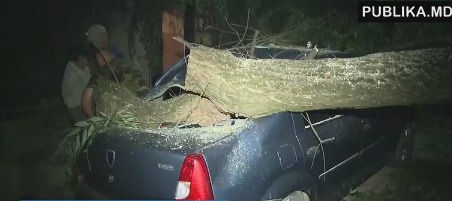 На столичной улице Думитру Рышкану на автомобиль упало дерево.