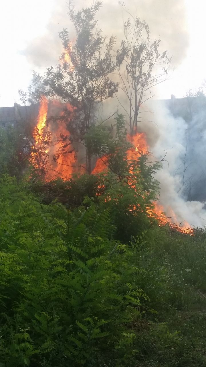 Ard crengile! Un nou incendiu de vegetație în Chișinău