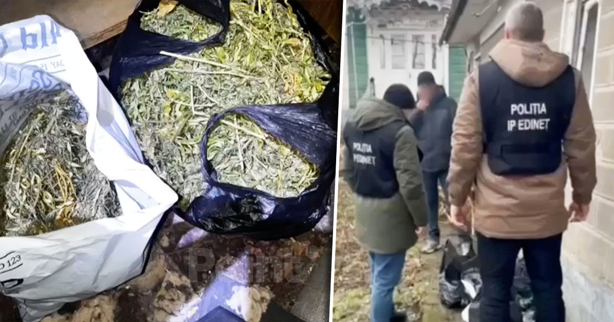 Cantități mari de marijuana, confiscate de la doi bărbați din Edineț.