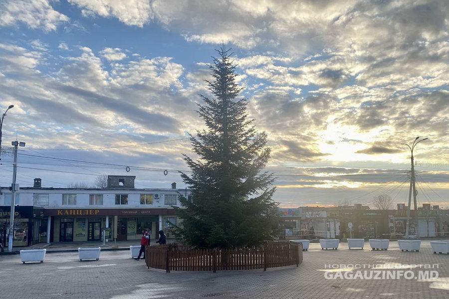 В Комрате установили 12-метровую елку - она обошлась в 18 тысяч леев. Фото: gagauzinfo.md