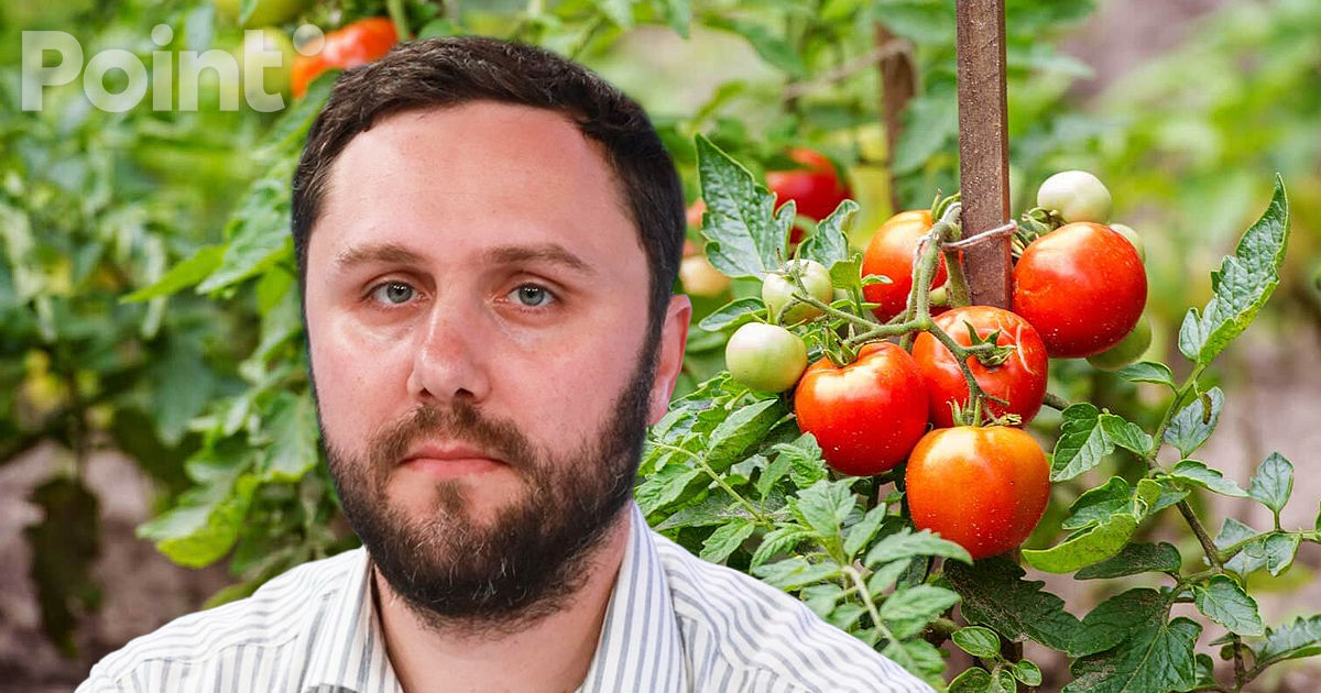 Deputat PAS: Este un mit că roșiile moldovenești sunt cele mai gustoase.