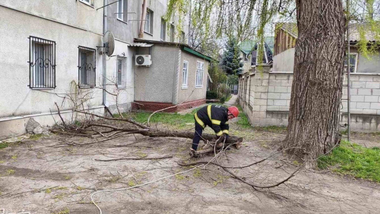 Consecințele vântului puternic: Angajații IGSU lucrează în regim sporit.