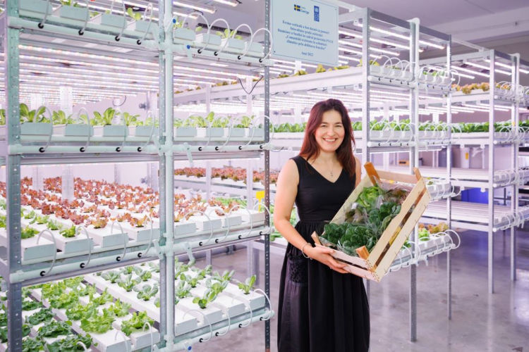 Femeile cu afaceri agricole vor putea primi 20.000 de dolari.