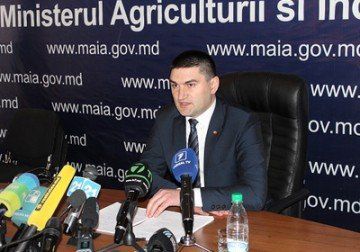 Ион Сула сказал, что власти должны предоставить возможность производителям доступа на любой рынок.