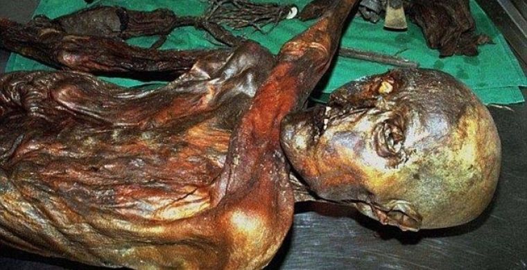 Эци — ледяная мумия человека эпохи халколита, обнаруженная в 1991 году в Эцтальских Альпах.