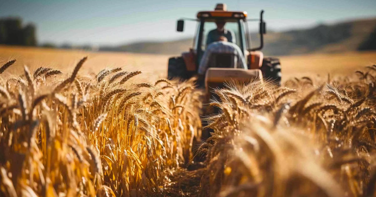 În Moldova vor fi create camere agricole: Proiectul de lege, aprobat.