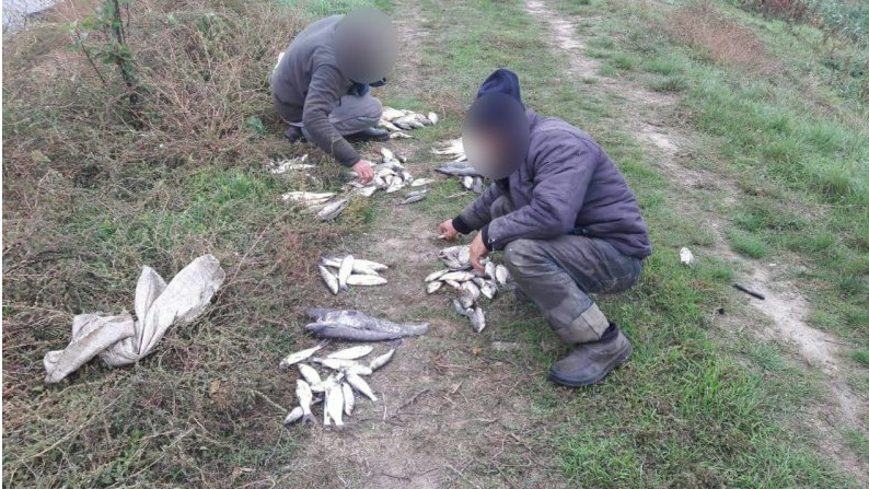 Пограничники задержали 5 жителей Леова за незаконный лов рыбы.