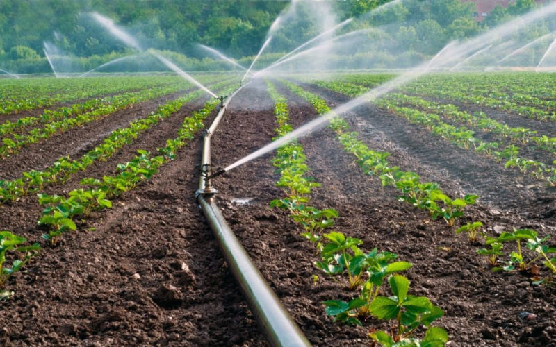 IFAD предоставит гранты на дорожную и ирригационную инфраструктуры.
