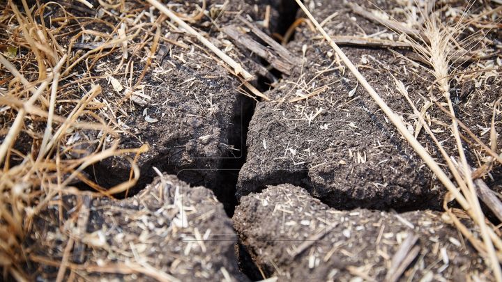 Avertisment meteo: Cod galben de secetă pentru toată ţara