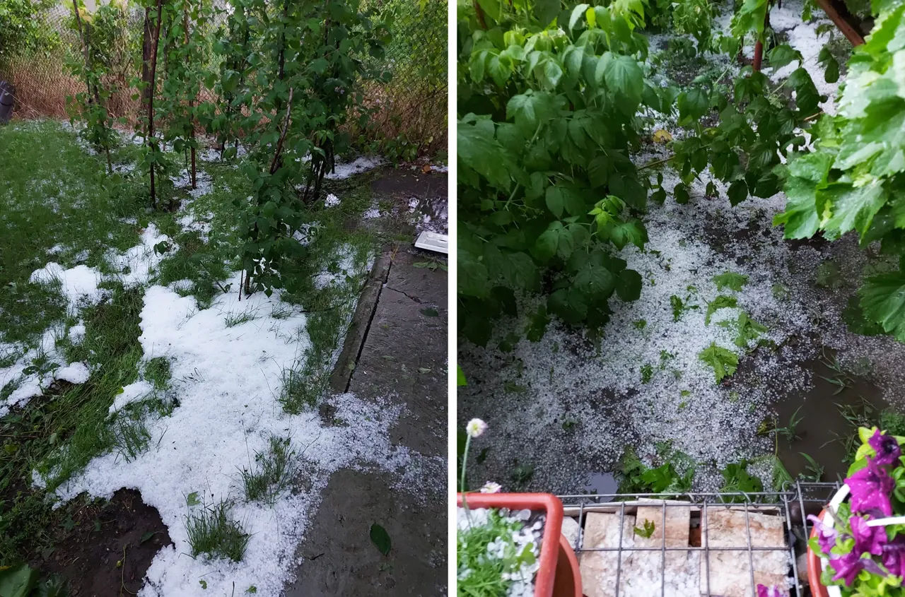 Непогода в Сороках: поваленные деревья, размытые дороги, уничтожено 4,5 га клубники.