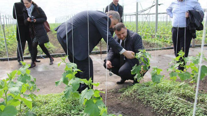 Subvenții importane: Ministrul Agriculturii a vizitat un fermier