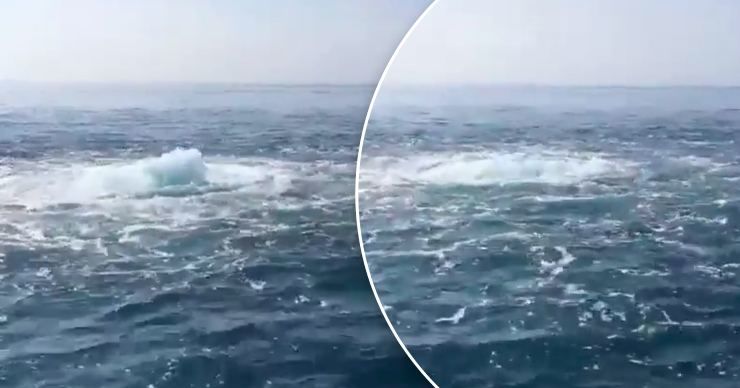 Загадочное явление в Черном море вызвало споры в Сети.