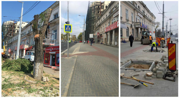 Au tăiat arborii şi au pus pavajul, iar acum scot pavajul pentru a planta arbori
