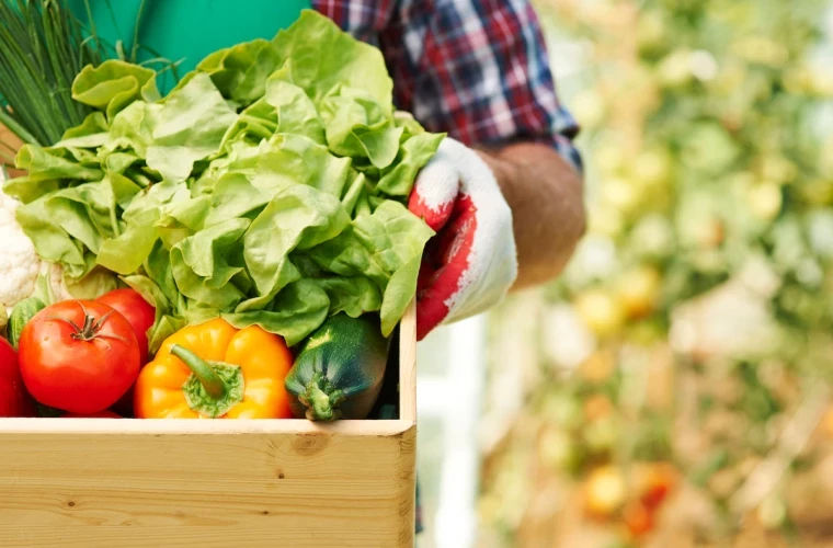 В Молдове снизились цены на сельхозпродукцию.