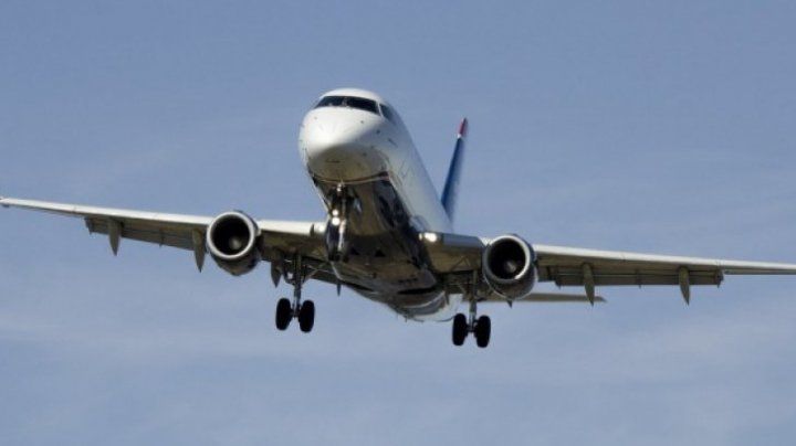 O pasăre s-a înfipt în botul unui avion ce ateriza pe aeroport