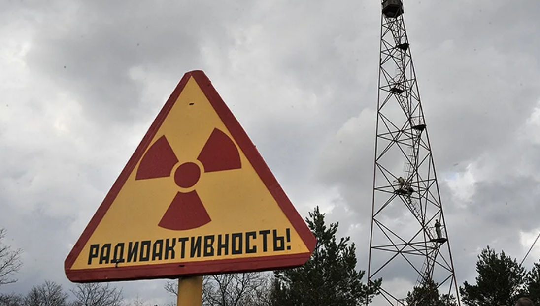 В Чернобыле биологи обнаружили животных, на которых не влияет радиация.
