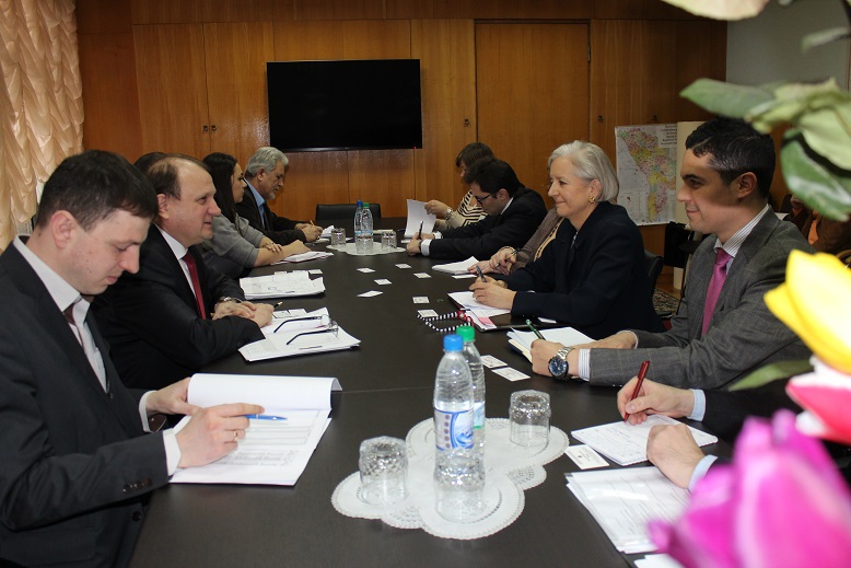 Vasile Bumacov a avut o întrevedere cu Elizabeth Hafner. Foto: oficial.md