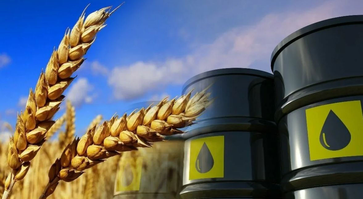 На случай сложной ситуации государственных резервов Молдовы хватит на два месяца.