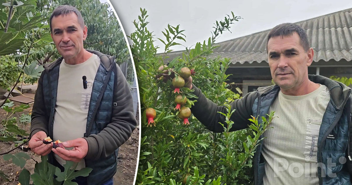 Un bărbat din Drochia a creat o grădină exotică cu fructe și plante rare.