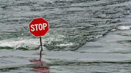 Идею необходимости очистки водохранилища Гидигич муссируют уже целый год Фото: planeta.moy.su