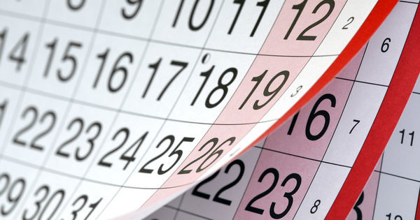 Aprobat: Bugetarii vor avea 5 zile libere în ianuarie