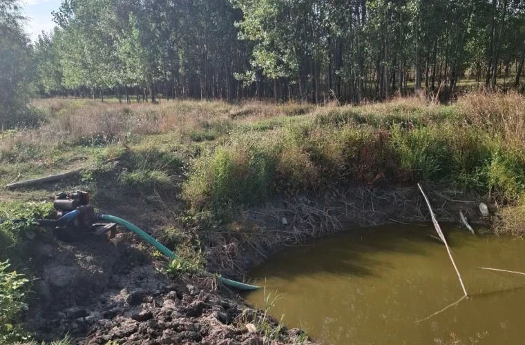 В ряде районов Молдовы усилили контроль за соблюдением природоохранного законодательства.