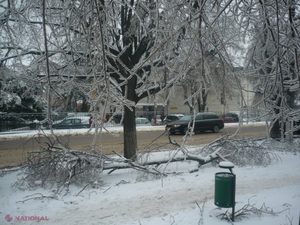Ministerul Afacerilor Externe şi Integrării Europene (MAEIE) recomandă cetăţenilor moldoveni să evite, pe cât posibil, călătoriile în România sau tranzitarea acestei ţări.