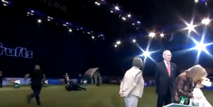 В Британии выставка собак закончилась хаосом из-за акции протеста.