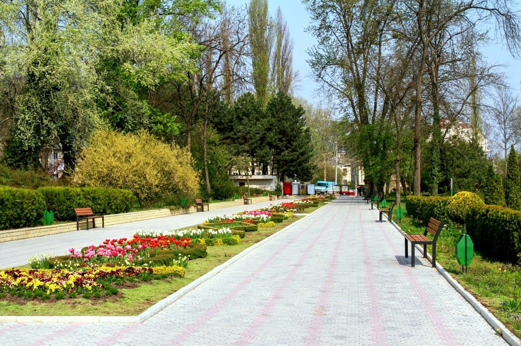 Administratia cere ca tichetele de intrare sa fie mai scumpe cu doi lei, deoarece chletuielile de intretinere sunt mari. Foto: panoramio.com