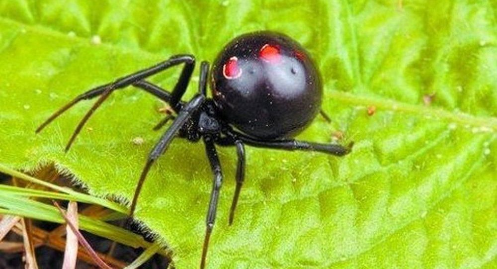 Pericolul care îi paşte pe moldoveni pe plajele din Ucraina.