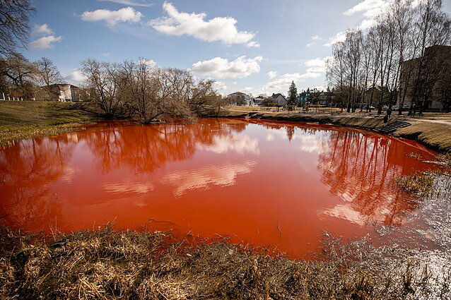 Активисты окрасили вода в пруду у российского посольства в Вильнюсе в кроваво-красный цвет. 
