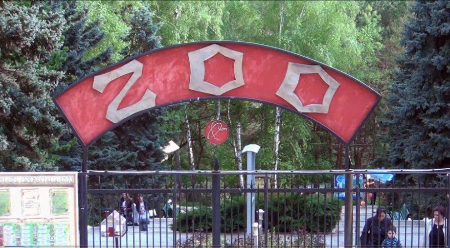Кишиневский зоопарк возобновляет обычную программу посещений.