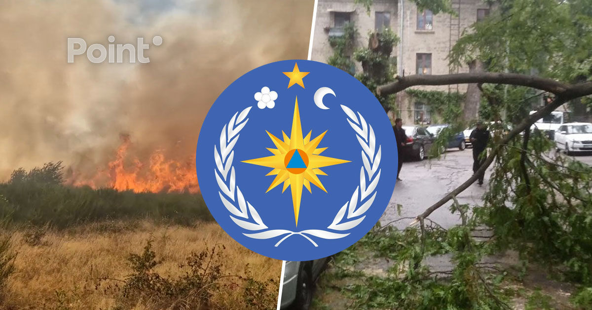 Парковка вдали от деревьев и запрет на костры: ГИЧС предупреждает о сильном ветре.