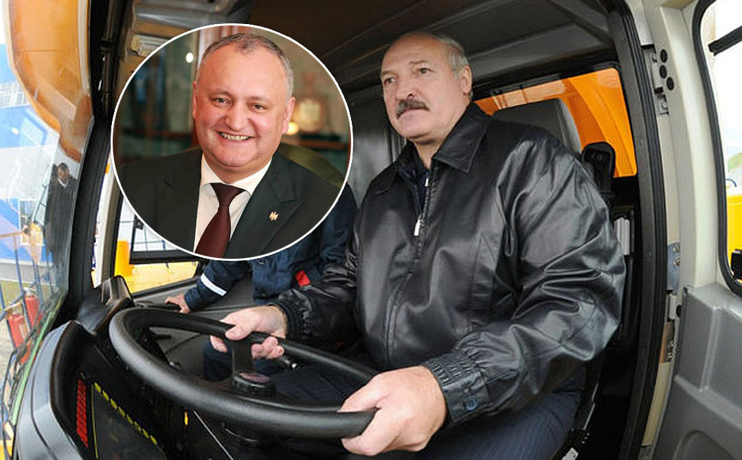 Александр Лукашенко вместе с Игорем Додоном на тракторе "Беларусь" засеют поле пшеницей. 