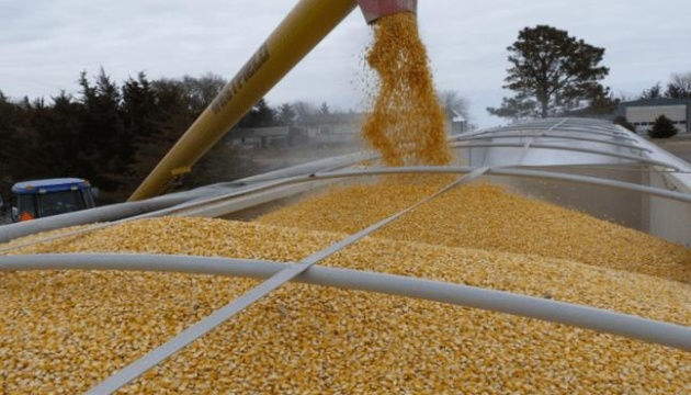 Украина во второй половине года экспортировала 12 млн тонн зерновых.