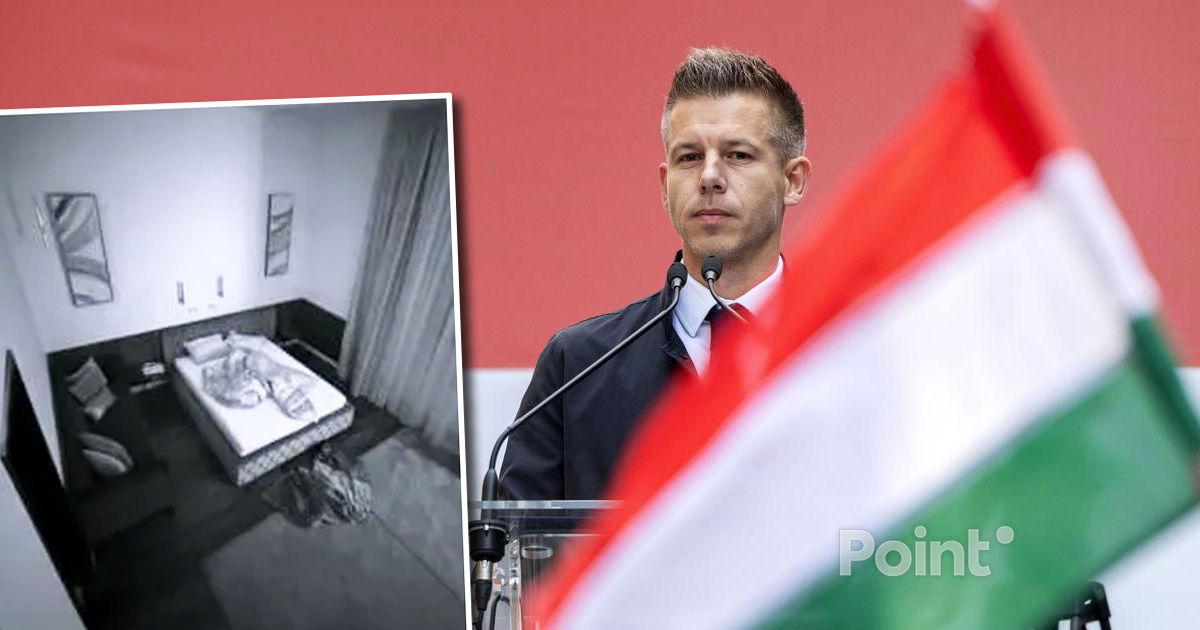 Лидер венгерской оппозиции подал заявление в полицию из-за скандала с секс-видео.