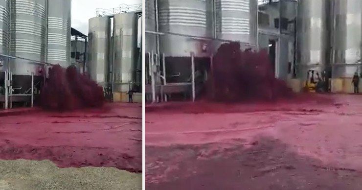 Винзавод в Испании "утонул" в 50 тысячах литров собственной продукции из-за ЧП.