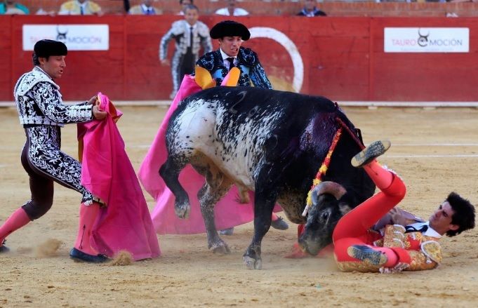 ONU cere Spaniei să interzică prezenţa copiilor la coride.