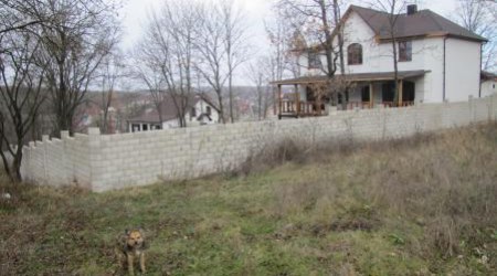 Первые два особняка в Дурлештском лесу были построены в 2012  году  бизнесменом Михаилом Бендасом, который летом 2011-го был избран в Дурлештах местным советником от Либерально-демократической партии Молдовы.