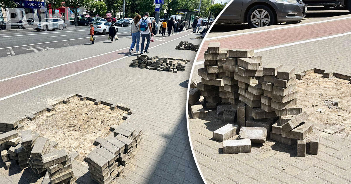 Primăria Capitalei: Pregătim locuri pentru plantarea a zeci de arbori.