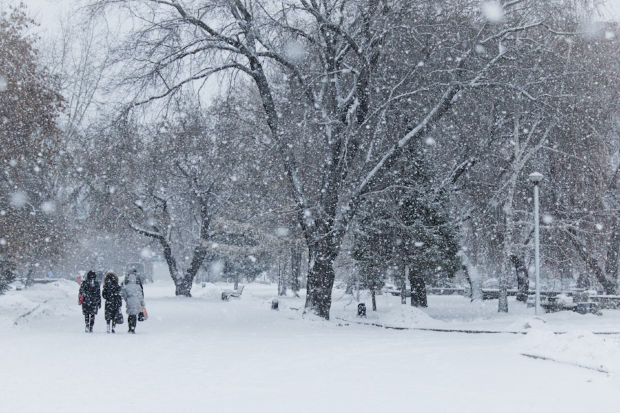 Va ninge în toată ţara. Câte grade vor fi în ultimile zile ale iernii