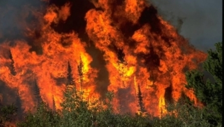 Incendiu de vegetație pe un câmp de la marginea străzii Mircea cel Bătrân, din sectorul Ciocana al capitalei.