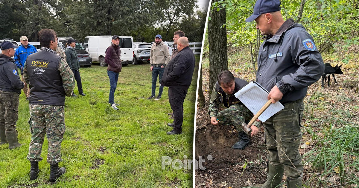 В лесничестве Гидигич выявлены факты незаконной вырубки деревьев.