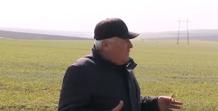Засуха и заморозки погубили две трети озимых в районе Штефан-Водэ.