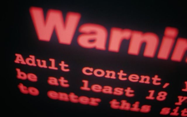 Un deputat din Rusia vrea să interzică site-urile pornografice
