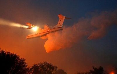 24 ноября в Хайфе начались пожары, которые распространились в центр и север страны.